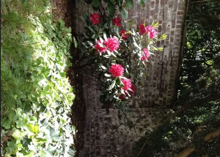 Отель Am Hofgarten