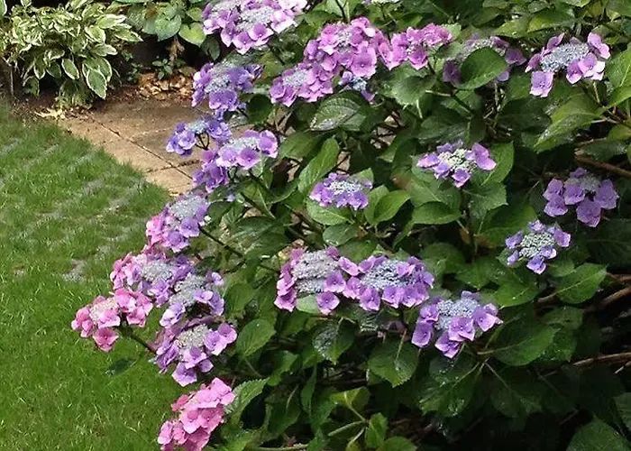 Отель Am Hofgarten