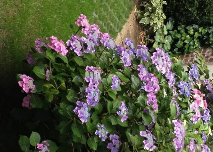 Am Hofgarten 뒤셀도르프