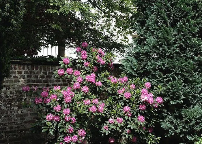 호텔 Am Hofgarten 3*