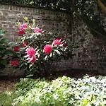 Am Hofgarten 3* Düsseldorf