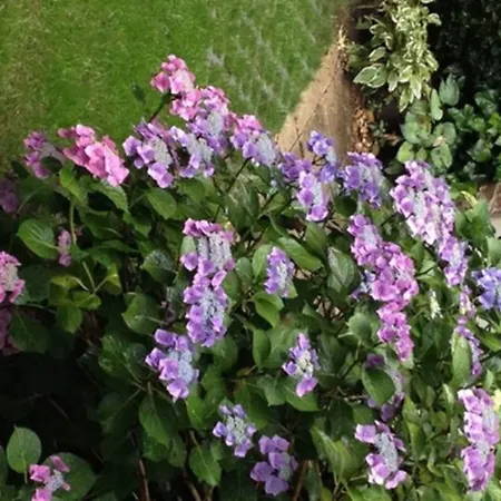 Am Hofgarten Dusseldorf