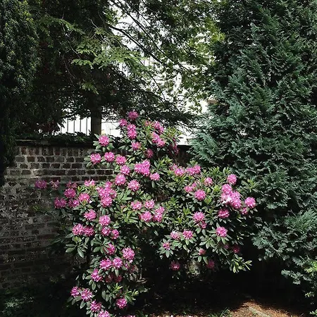 Отель Am Hofgarten 3*